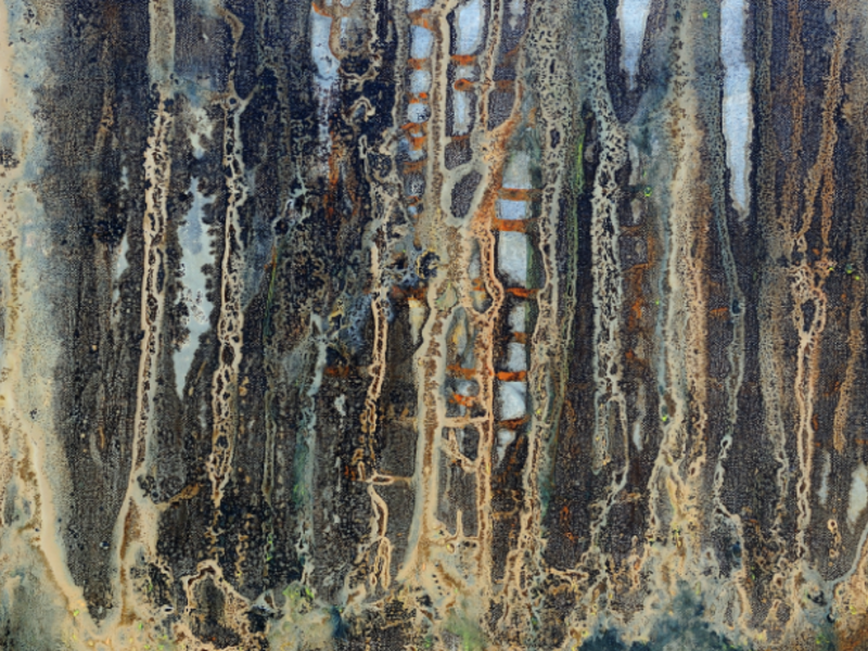 Romero Katya / Manglares