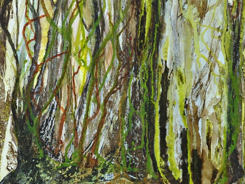 Romero Katya / Desde las entrañas