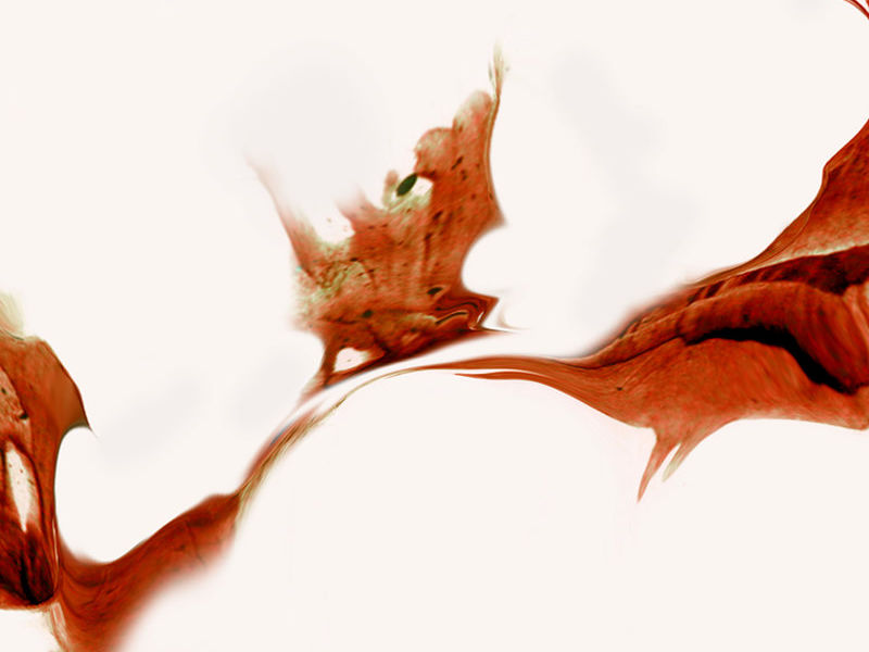 Romero Katya / Huella 12 